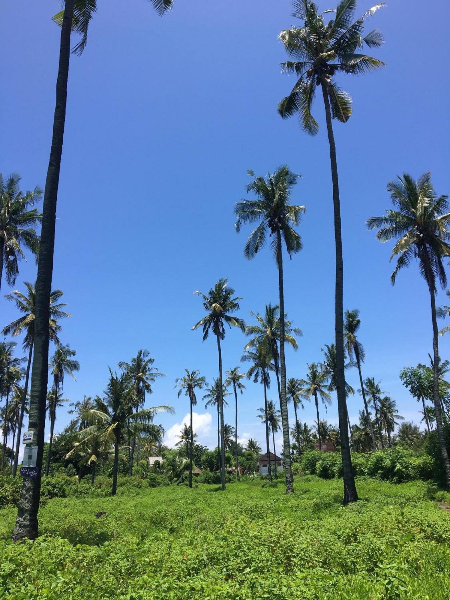 Puring Bungalows Gili Air Buitenkant foto